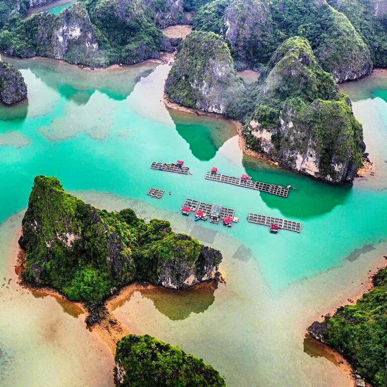 Discover The Stunning Beauty of Bai Tu Long Bay