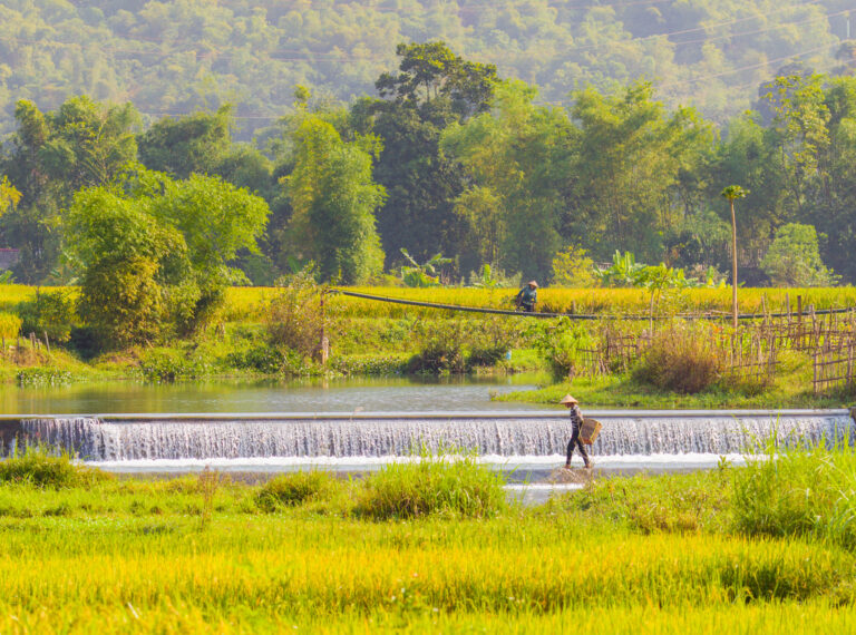 Mai Chau Day Tour: A Journey into Vietnam’s Serene Countryside