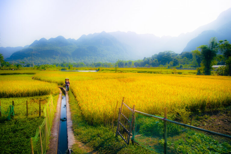 Mai Chau Local Exploration Tour
