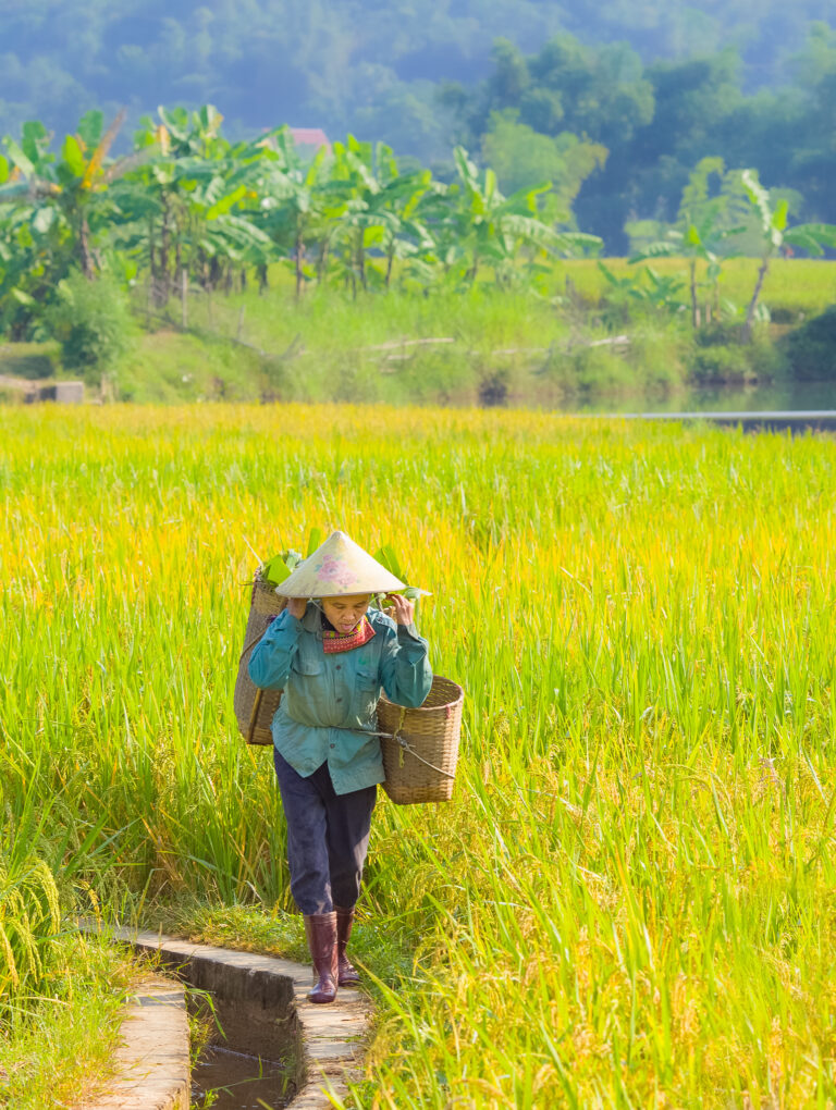 Mai Chau Local Exploration Tour