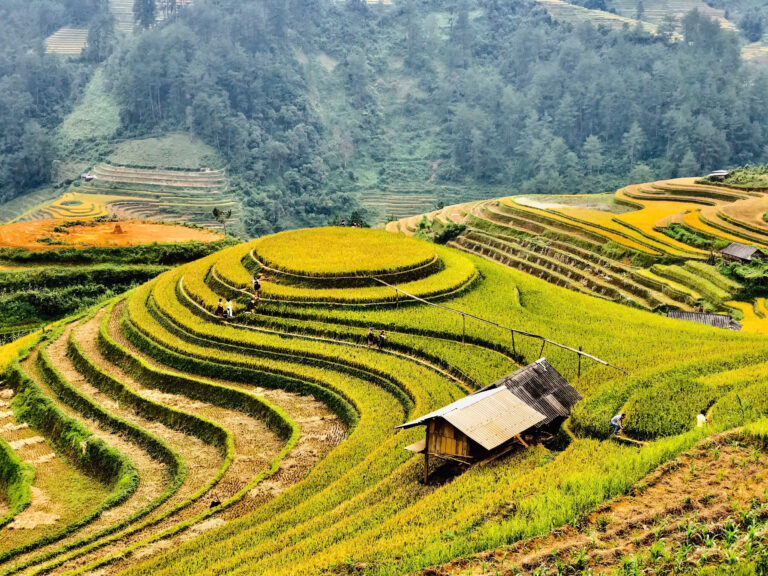 Vietnam’s Undiscovered Gems Tours: A Journey Beyond the Ordinary