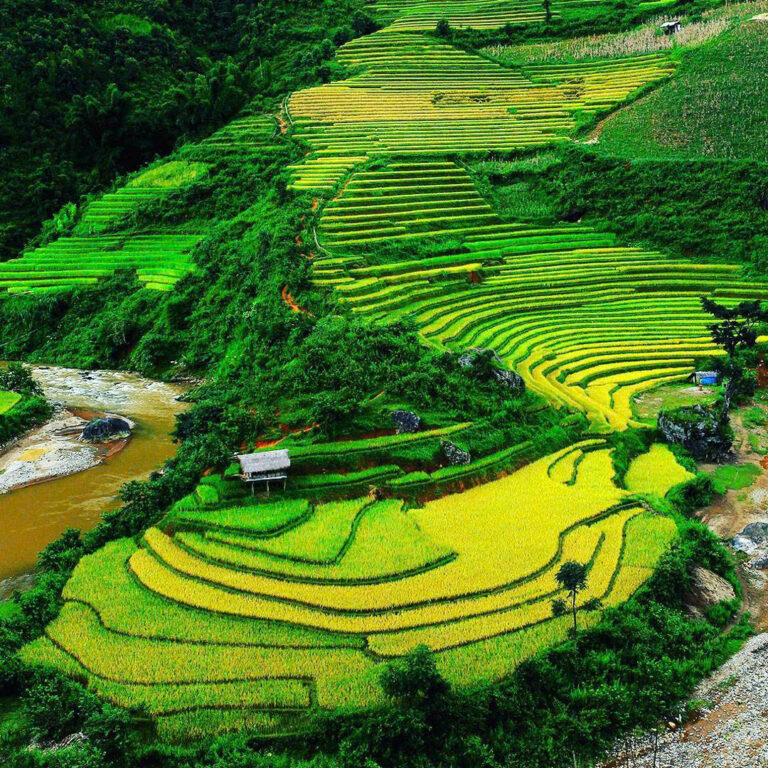 Vietnam’s Undiscovered Gems Tours: A Journey Beyond the Ordinary