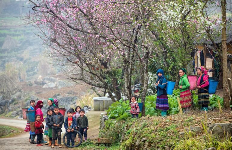 Ha Giang Unveiled: A 4-Day Journey Through Vietnam’s Northern Highlands