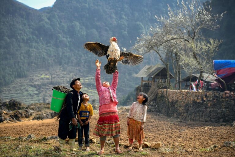 Ha Giang Unveiled: A 4-Day Journey Through Vietnam’s Northern Highlands