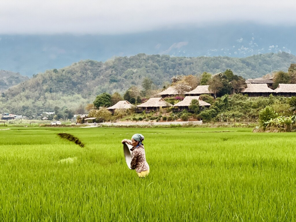 Eco And Authentic Mai Chau – Pu Luong – Ninh Binh
