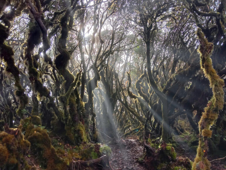 Beyond the Tourist Trail Vietnam Tours: Trekking Ta Xua Mountain 3 Days 2 Nights